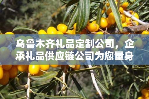 乌鲁木齐礼品定制公司，企承礼品供应链公司为您量身定制专属礼品